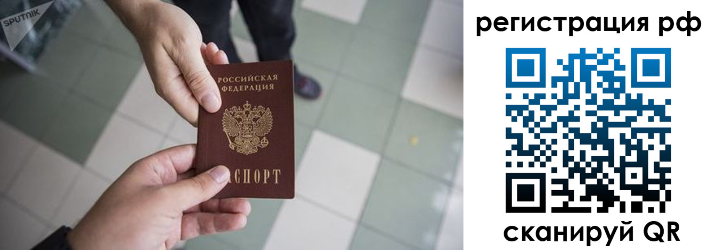 прописка гарантия в Зеленоградске